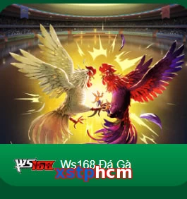 xstphcm